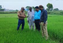 किसानों से बोले कृषि वैज्ञानिक, एंजाइम्स बढ़ाते हैं पौधे की लंबाई और ताकत